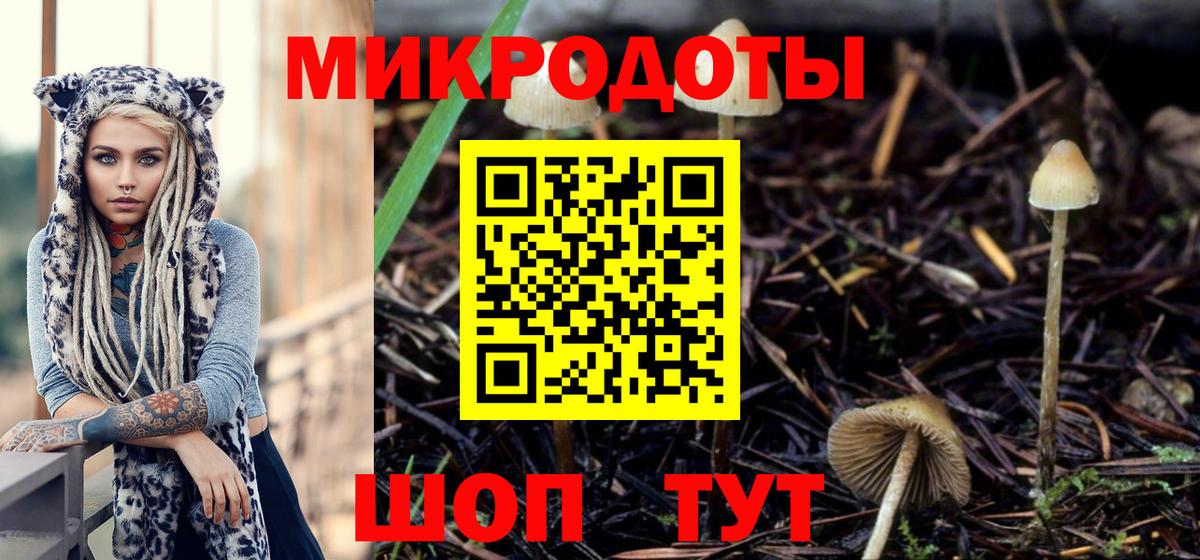 Псилоцибиновые грибы прущие грибы Елец