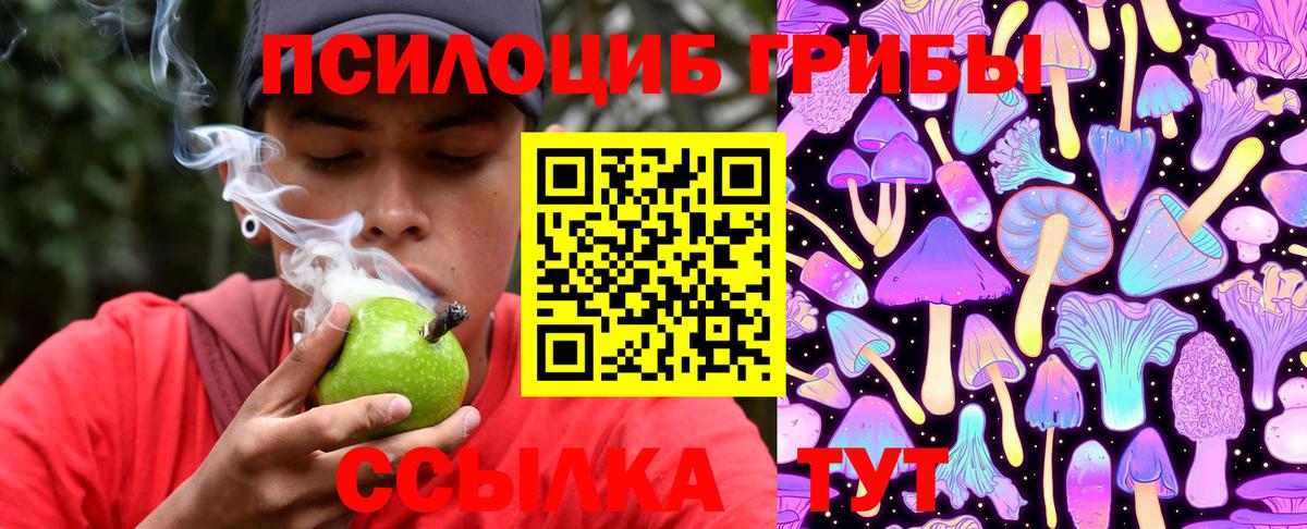 Галлюциногенные грибы мицелий  Галлюциногенные грибы MAGIC MUSHROOMS  хочу наркоту  Вход с VPN  Елец 